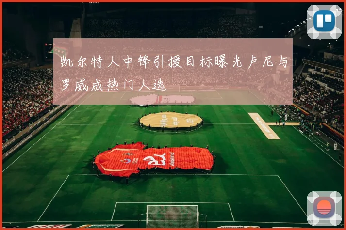 凯尔特人中锋引援目标曝光卢尼与罗威成热门人选