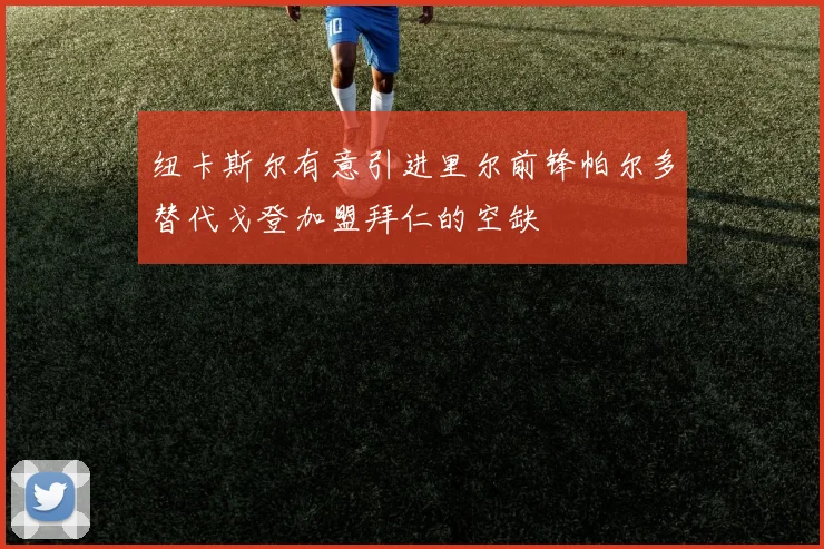 纽卡斯尔有意引进里尔前锋帕尔多替代戈登加盟拜仁的空缺